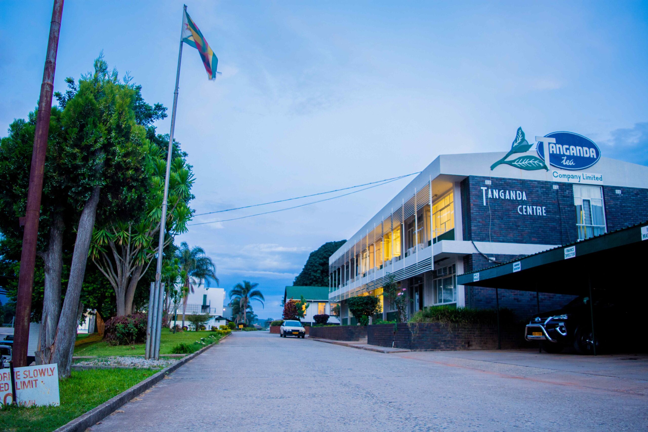 Tanganda finance director Nemaire resigns